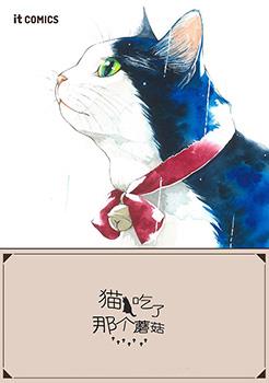 流浪猫的一生海报