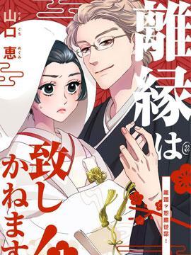 离婚恕难从命漫画12海报